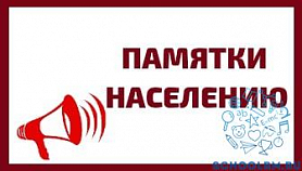 О правилах поведения при встрече с медведем.